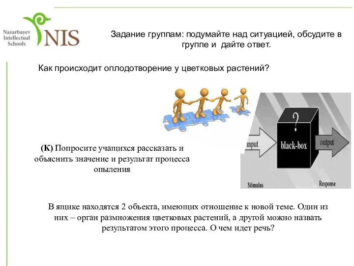 Задание группам: подумайте над ситуацией, обсудите в группе и дайте ответ. В