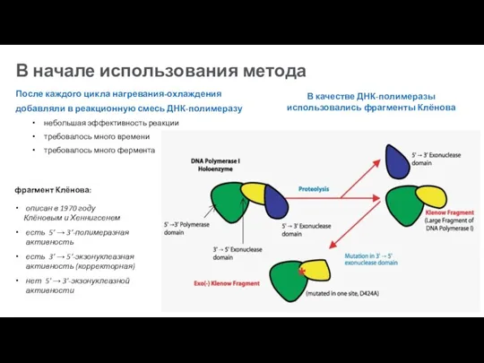 В начале использования метода После каждого цикла нагревания-охлаждения добавляли в реакционную смесь