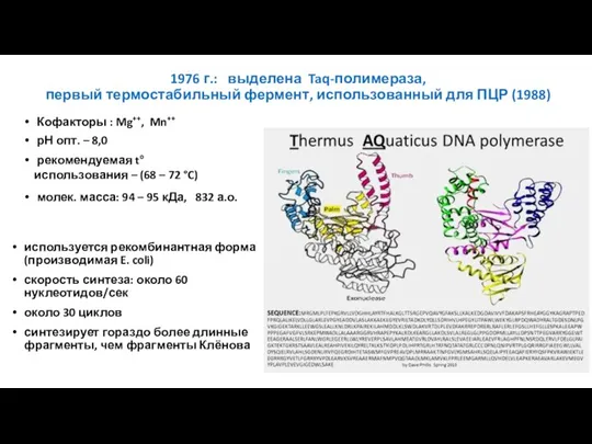 1976 г.: выделена Taq-полимераза, первый термостабильный фермент, использованный для ПЦР (1988) используется