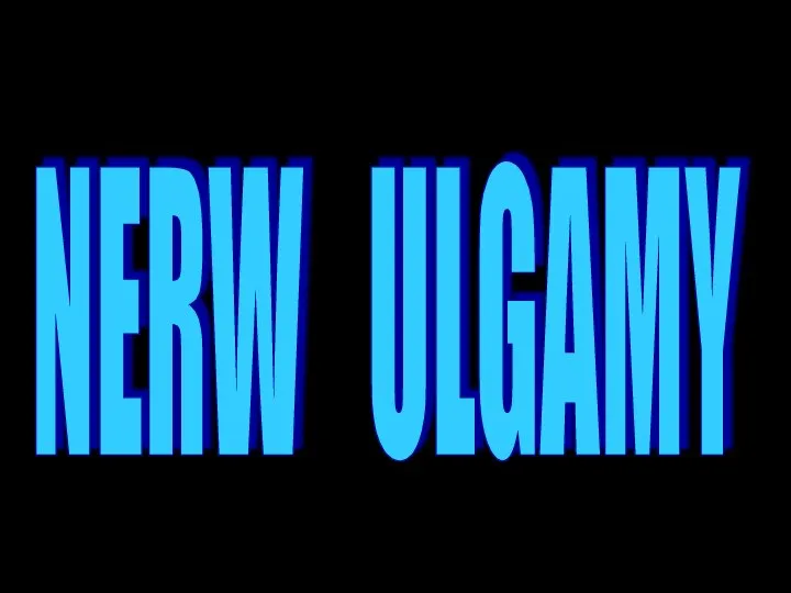 NERW ULGAMY