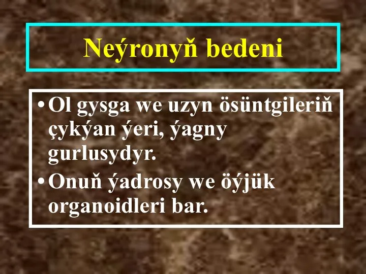 Neýronyň bedeni Ol gysga we uzyn ösüntgileriň çykýan ýeri, ýagny gurlusydyr. Onuň