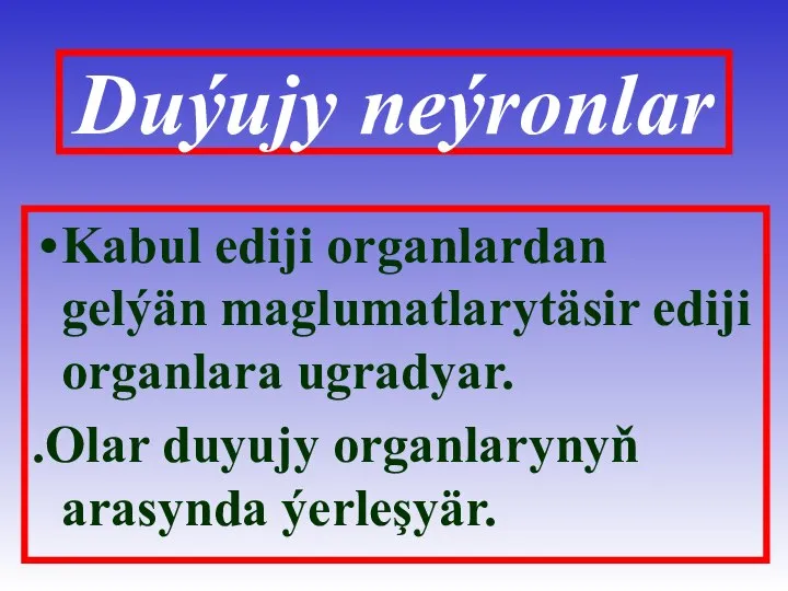 Duýujy neýronlar Kabul ediji organlardan gelýän maglumatlarytäsir ediji organlara ugradyar. .Olar duyujy organlarynyň arasynda ýerleşyär.