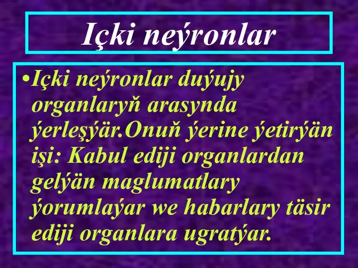 Içki neýronlar Içki neýronlar duýujy organlaryň arasynda ýerleşýär.Onuň ýerine ýetirýän işi: Kabul