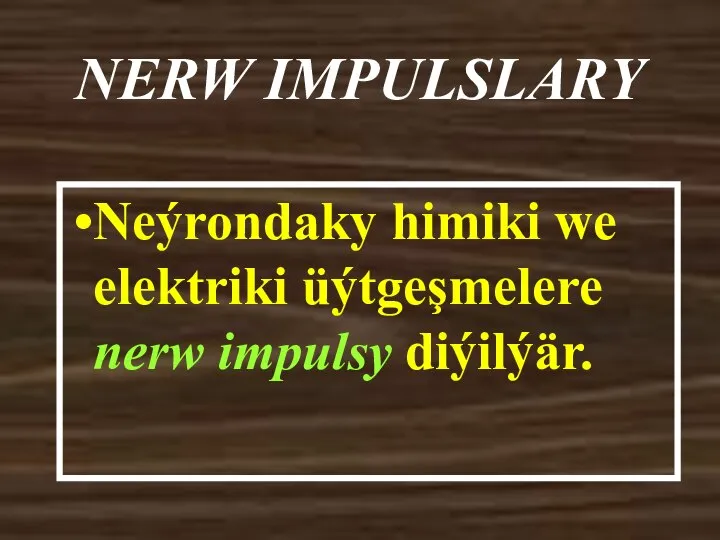 NERW IMPULSLARY Neýrondaky himiki we elektriki üýtgeşmelere nerw impulsy diýilýär.