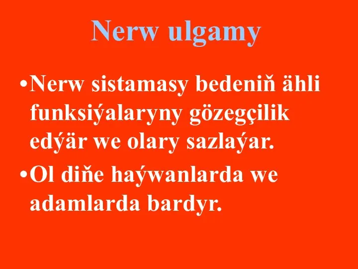 Nerw ulgamy Nerw sistamasy bedeniň ähli funksiýalaryny gözegçilik edýär we olary sazlaýar.