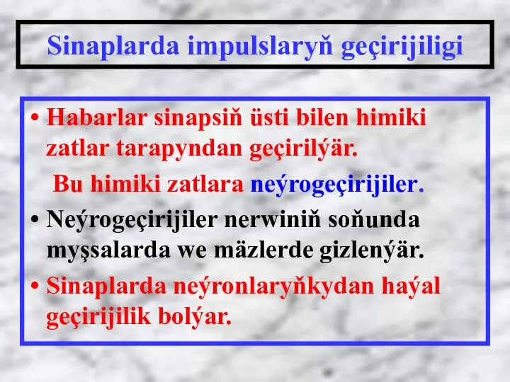 Habarlar sinapsiň üsti bilen himiki zatlar tarapyndan geçirilýär. Bu himiki zatlara neýrogeçirijiler.