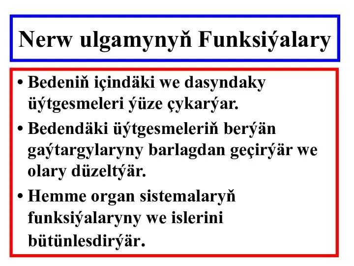 Nerw ulgamynyň Funksiýalary Bedeniň içindäki we dasyndaky üýtgesmeleri ýüze çykarýar. Bedendäki üýtgesmeleriň