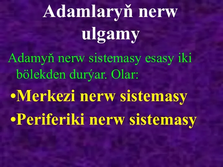 Adamlaryň nerw ulgamy Adamyň nerw sistemasy esasy iki bölekden durýar. Olar: Merkezi