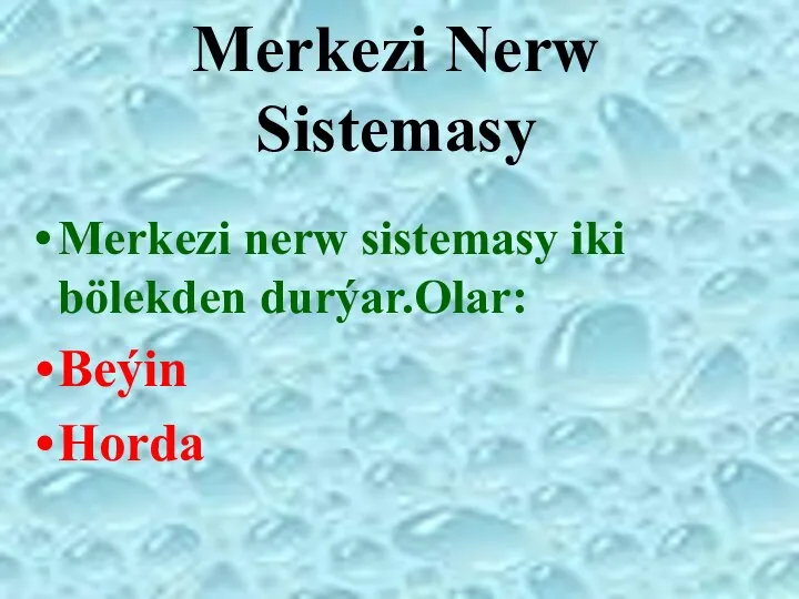 Merkezi Nerw Sistemasy Merkezi nerw sistemasy iki bölekden durýar.Olar: Beýin Horda