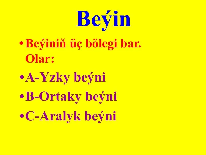 Beýin Beýiniň üç bölegi bar. Olar: A-Yzky beýni B-Ortaky beýni C-Aralyk beýni