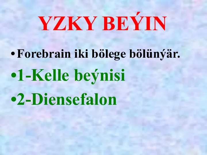 YZKY BEÝIN Forebrain iki bölege bölünýär. 1-Kelle beýnisi 2-Diensefalon