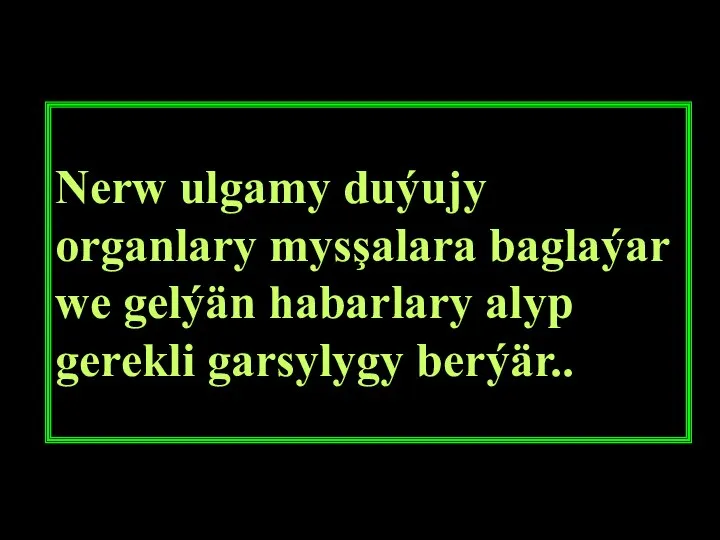 Nerw ulgamy duýujy organlary mysşalara baglaýar we gelýän habarlary alyp gerekli garsylygy berýär..