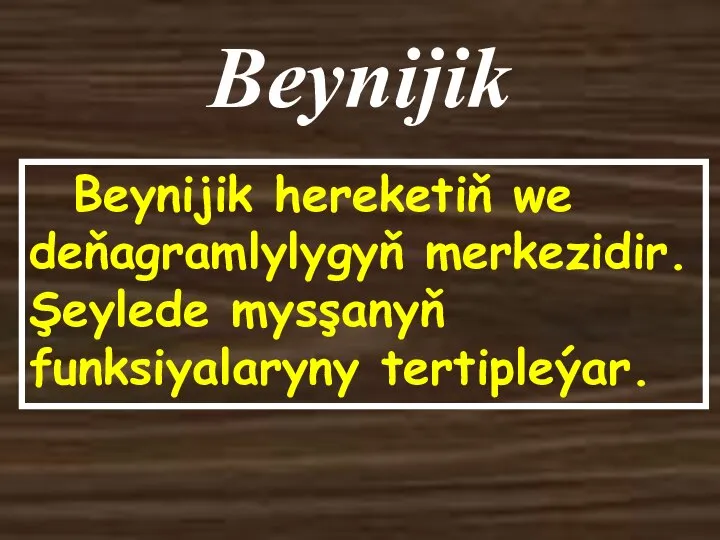 Beynijik Beynijik hereketiň we deňagramlylygyň merkezidir. Şeylede mysşanyň funksiyalaryny tertipleýar.