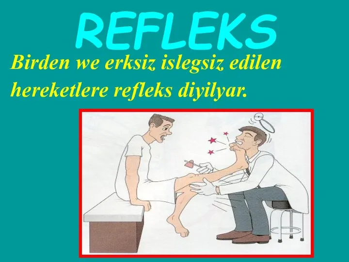 REFLEKS Birden we erksiz islegsiz edilen hereketlere refleks diyilyar.