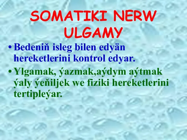 SOMATIKI NERW ULGAMY Bedeniň isleg bilen edyän hereketlerini kontrol edyar. Ylgamak, ýazmak,aýdym