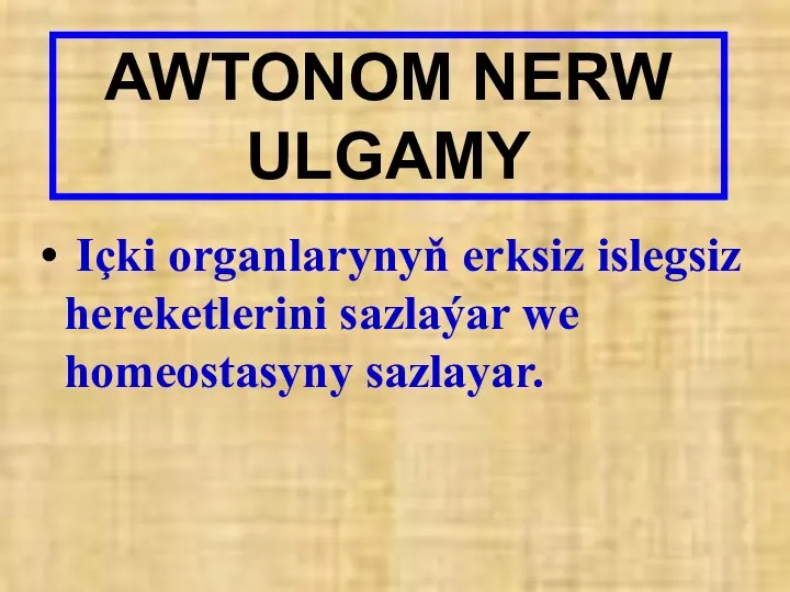 AWTONOM NERW ULGAMY Içki organlarynyň erksiz islegsiz hereketlerini sazlaýar we homeostasyny sazlayar.