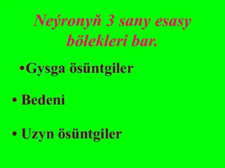 Neýronyň 3 sany esasy bölekleri bar. Gysga ösüntgiler Bedeni Uzyn ösüntgiler