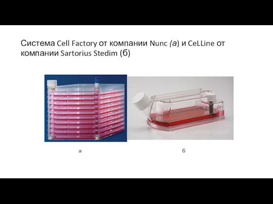 Система Cell Factory от компании Nunc (а) и CeLLine от компании Sartorius Stedim (б) а б