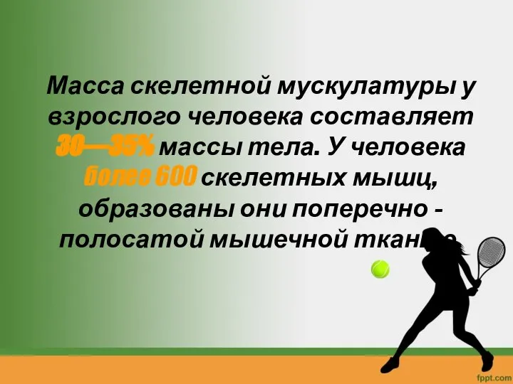 Масса скелетной мускулатуры у взрослого человека составляет 30—35% массы тела. У человека