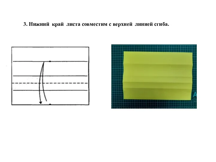 3. Нижний край листа совместим с верхней линией сгиба.
