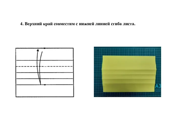 4. Верхний край совместим с нижней линией сгиба листа.