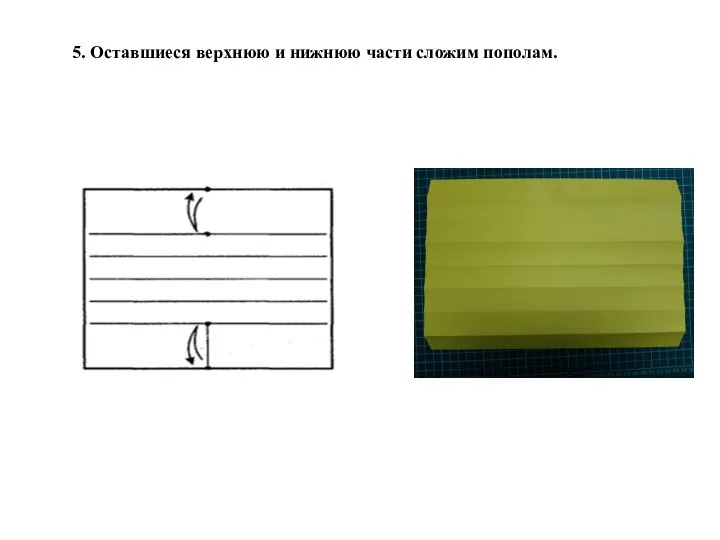 5. Оставшиеся верхнюю и нижнюю части сложим пополам.