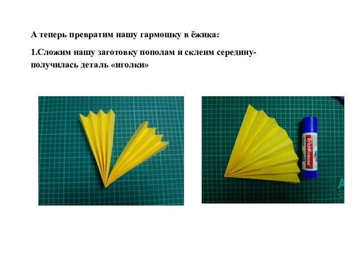 А теперь превратим нашу гармошку в ёжика: 1.Сложим нашу заготовку пополам и
