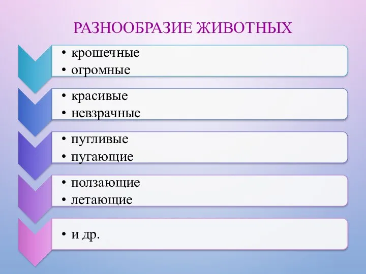 РАЗНООБРАЗИЕ ЖИВОТНЫХ