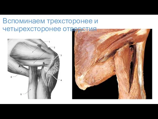 Вспоминаем трехсторонее и четырехсторонее отверстия