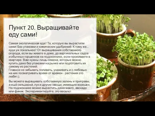 Пункт 20. Выращивайте еду сами! Самая экологическая еда? Та, которую вы вырастили