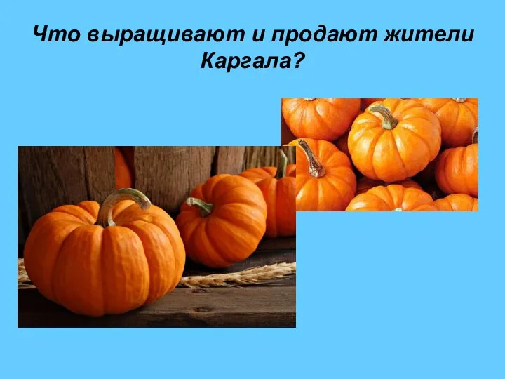 Что выращивают и продают жители Каргала?