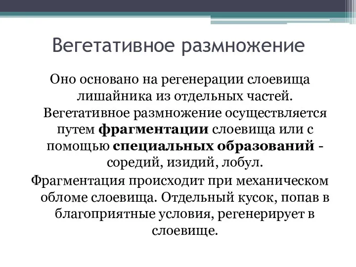 Вегетативное размножение Оно основано на регенерации слоевища лишайника из отдельных частей. Вегетативное