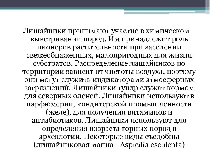 Лишайники принимают участие в химическом выветривании пород. Им принадлежит роль пионеров растительности