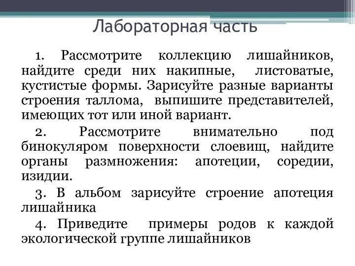 Лабораторная часть 1. Рассмотрите коллекцию лишайников, найдите среди них накипные, листоватые, кустистые