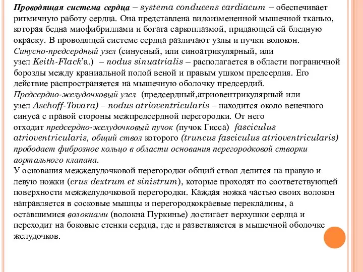 Проводящая система сердца – systema conducens cardiacum – обеспечивает ритмичную работу сердца.