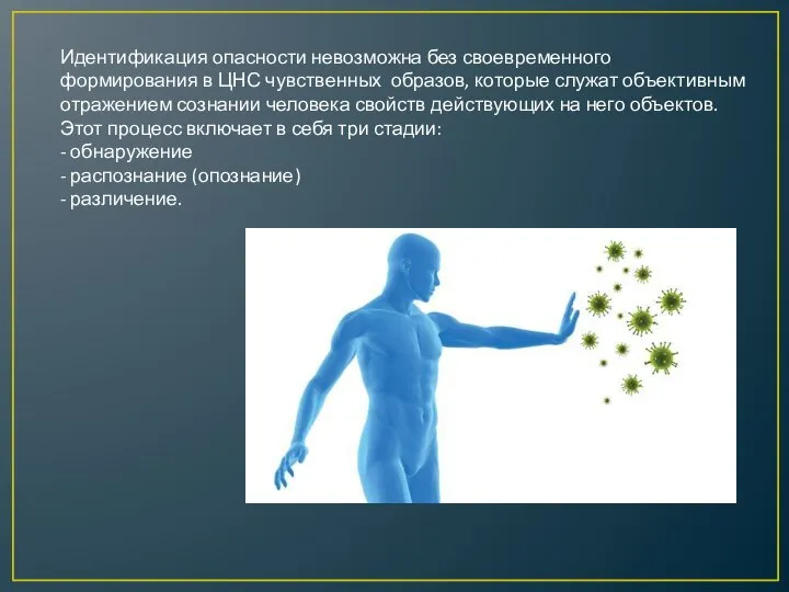 Идентификация опасности невозможна без своевременного формирования в ЦНС чувственных образов, которые служат