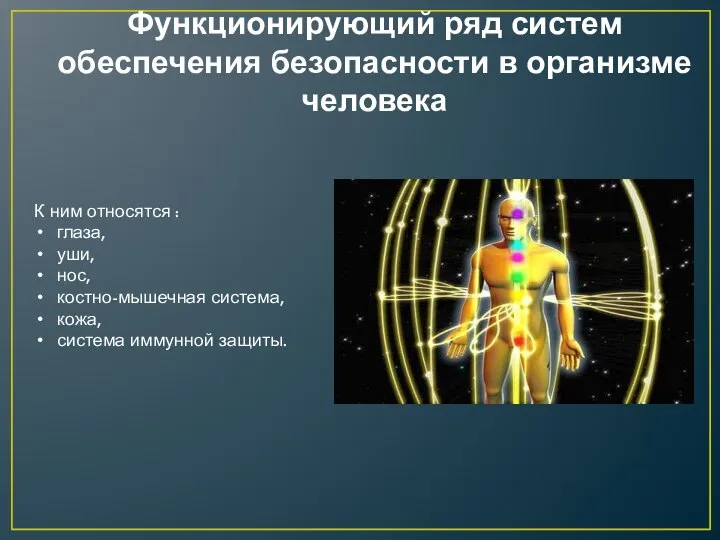 Функционирующий ряд систем обеспечения безопасности в организме человека К ним относятся :