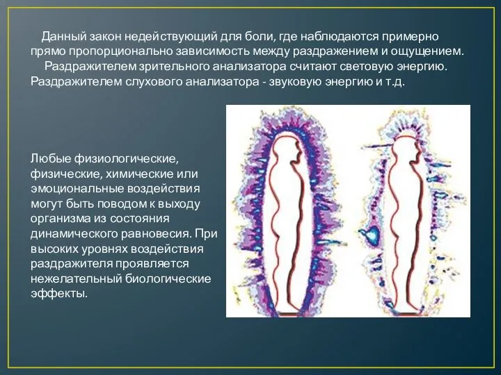 Данный закон недействующий для боли, где наблюдаются примерно прямо пропорционально зависимость между