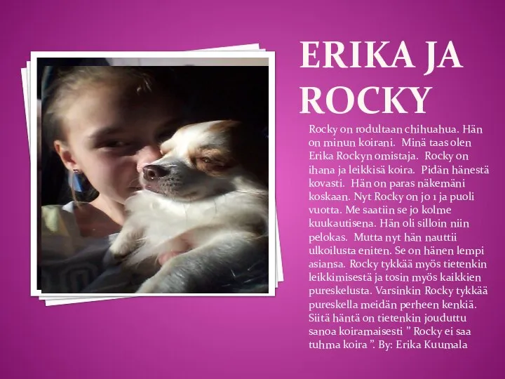 ERIKA JA ROCKY Rocky on rodultaan chihuahua. Hän on minun koirani. Minä