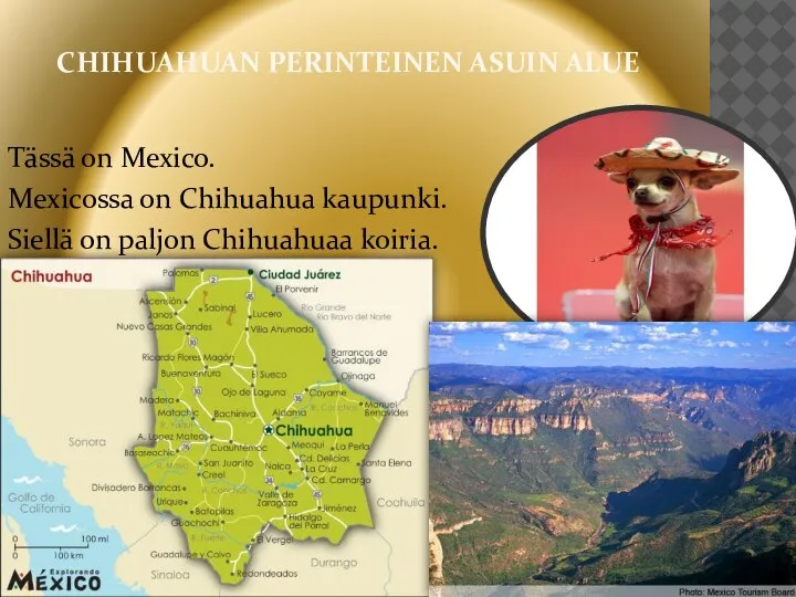 CHIHUAHUAN PERINTEINEN ASUIN ALUE Tässä on Mexico. Mexicossa on Chihuahua kaupunki. Siellä on paljon Chihuahuaa koiria.