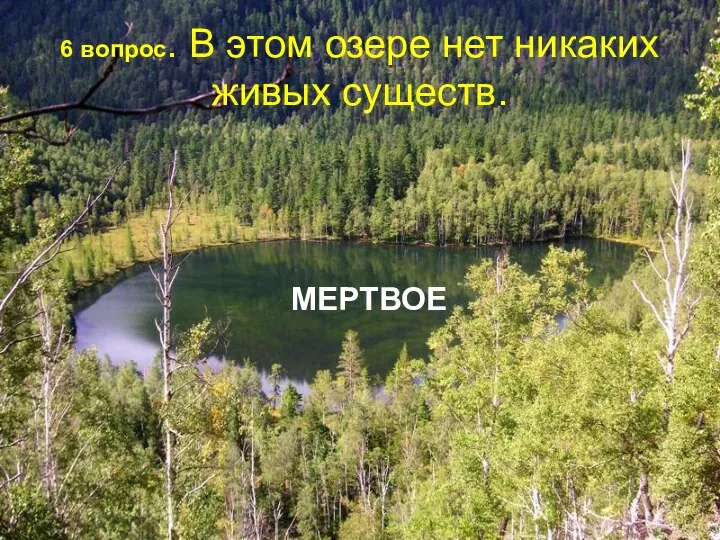 6 вопрос. В этом озере нет никаких живых существ. МЕРТВОЕ
