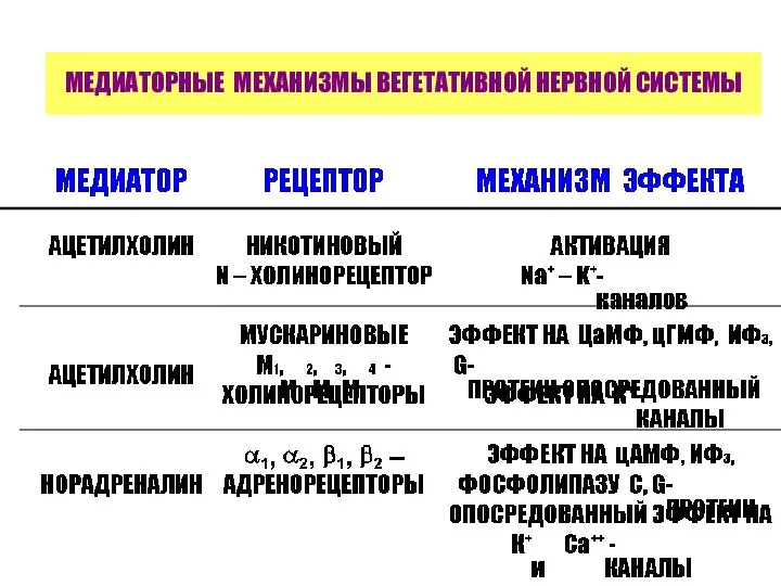 МЕДИАТОРНЫЕ МЕХАНИЗМЫ ВЕГЕТАТИВНОЙ НЕРВНОЙ СИСТЕМЫ