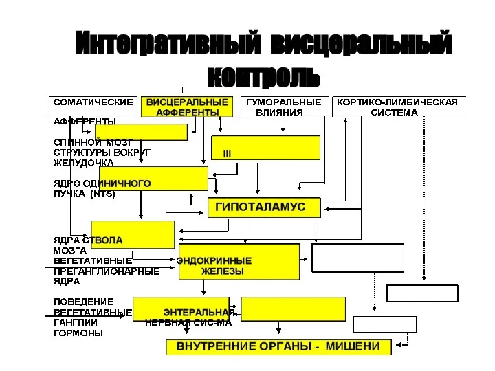 Интегративный висцеральный контроль