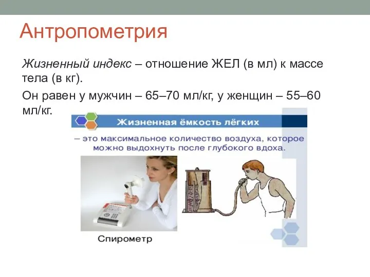 Антропометрия Жизненный индекс – отношение ЖЕЛ (в мл) к массе тела (в