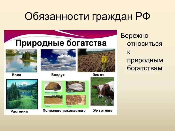 Обязанности граждан РФ Бережно относиться к природным богатствам