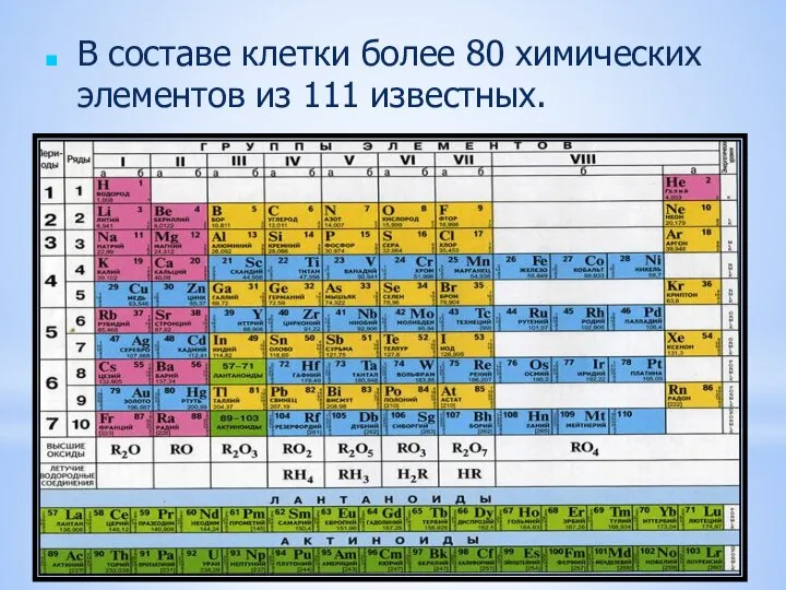 В составе клетки более 80 химических элементов из 111 известных.