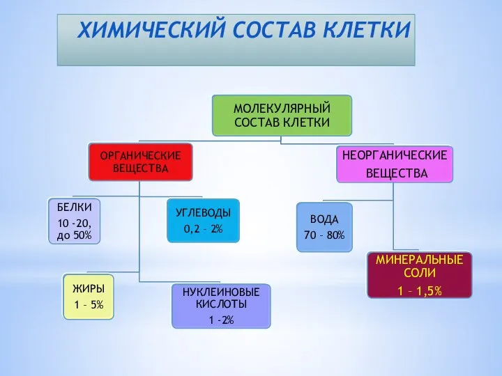 ХИМИЧЕСКИЙ СОСТАВ КЛЕТКИ