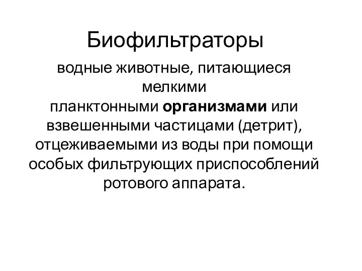 Биофильтраторы водные животные, питающиеся мелкими планктонными организмами или взвешенными частицами (детрит), отцеживаемыми