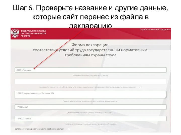 Шаг 6. Проверьте название и другие данные, которые сайт перенес из файла в декларацию