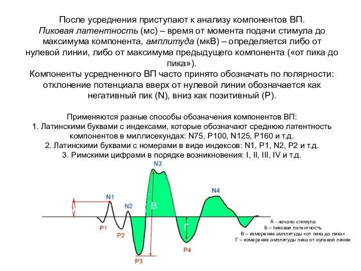 После усреднения приступают к анализу компонентов ВП. Пиковая латентность (мс) – время